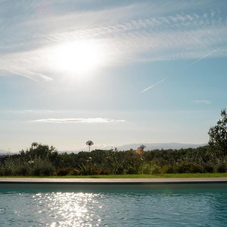 Glamping Suite Il Grillo Lamporecchio Ngoại thất bức ảnh